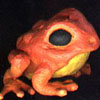 Alchymia's Toad